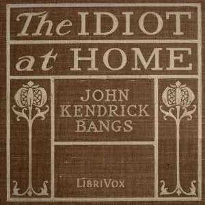 Idiot at home