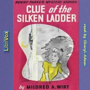 Clue of the Silken Ladder