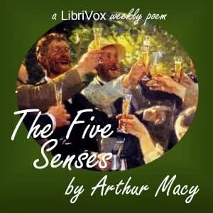 Five Senses