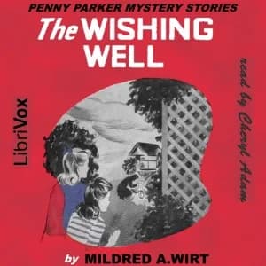 Wishing Well