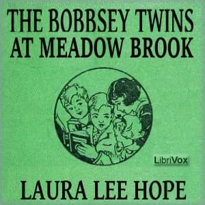 Bobbsey Twins at Meadow Brook