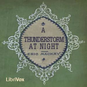 Thunderstorm at Night
