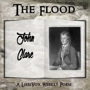 Flood
