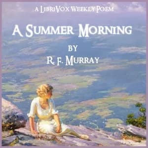 Summer Morning