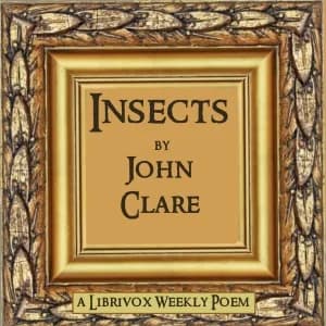 Insects