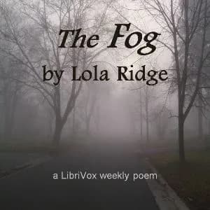 Fog