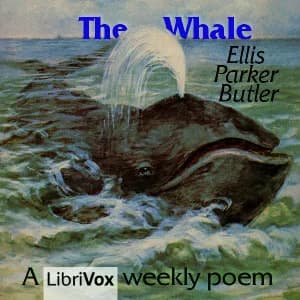 Whale