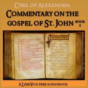 Commentary on the Gospel of John, Book 2
