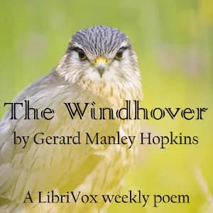 Windhover