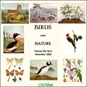 Birds and Nature, Vol. VIII, No 4, November 1900