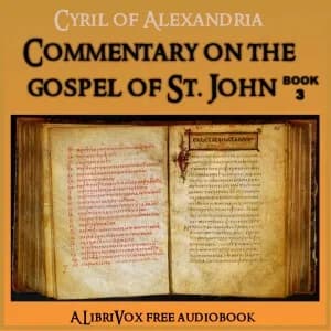 Commentary on the Gospel of John, Book 3