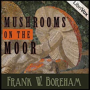 Mushrooms on the Moor