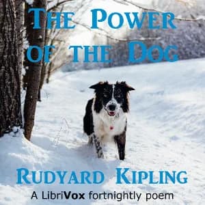 Power of the Dog