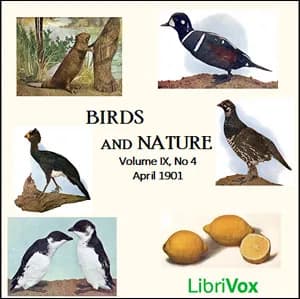 Birds and Nature, Vol. IX, No 4, April 1901