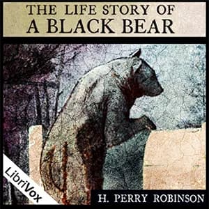 Life Story of a Black Bear