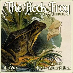 Rock Frog
