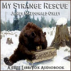 My Strange Rescue