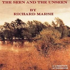 Seen and the Unseen