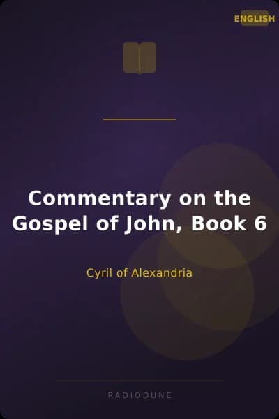 Commentary on the Gospel of John, Book 6