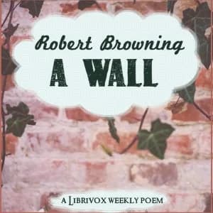 Wall