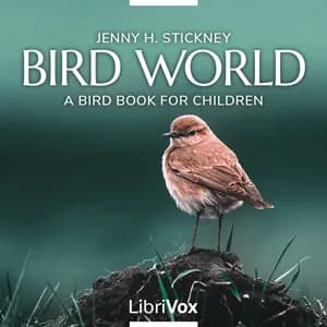 Bird World: A Bird Book for Children