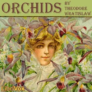 Orchids