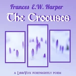 Crocuses