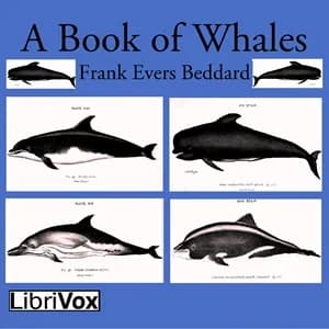 Book of Whales