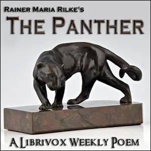 Panther