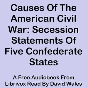Causes Of The American Civil War: Secession Statements Of Five Confederate States (South Carolina, Texas, Virginia, Georgia, Mississippi)