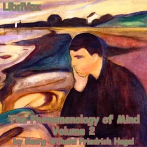 Phenomenology of Mind, Volume 2