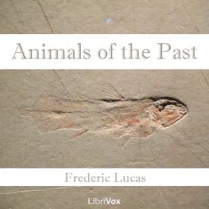 Animals of the Past