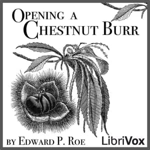 Opening a Chestnut Burr