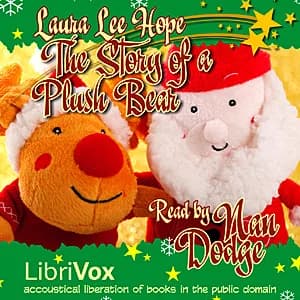 Story of a Plush Bear
