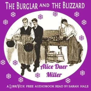 Burglar and the Blizzard