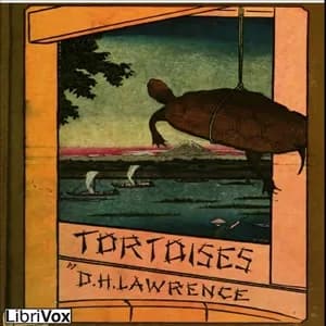 Tortoises