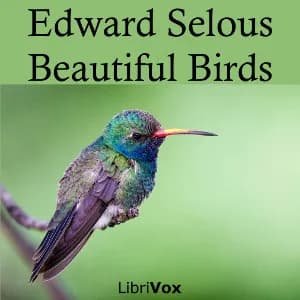 Beautiful Birds