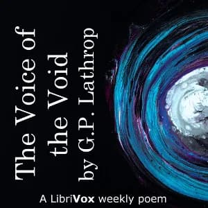 Voice of the Void