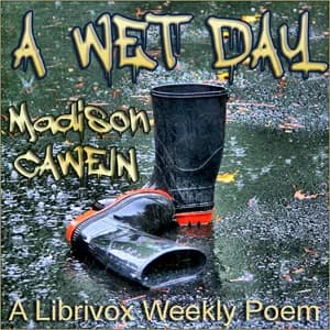 Wet Day