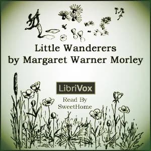 Little Wanderers