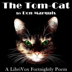 Tom-Cat