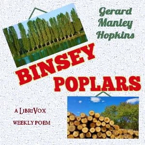 Binsey Poplars