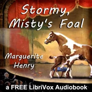 Stormy, Misty's Foal