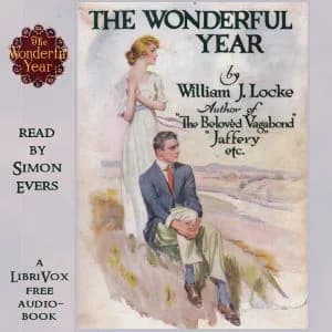 Wonderful Year