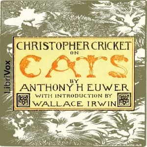 Christopher Cricket on Cats