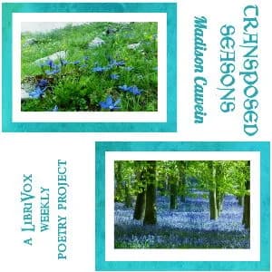 Transposed Seasons