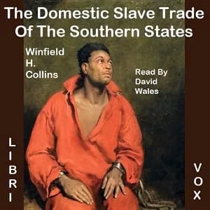 Domestic Slave Trade Of The Southern States