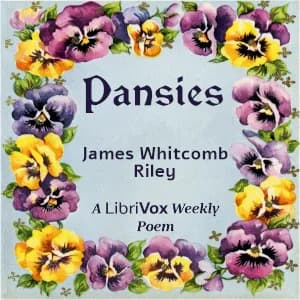 Pansies