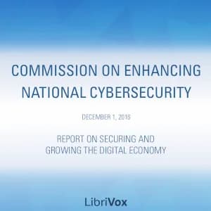 Report on Securing and Growing the Digital Economy