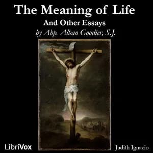Meaning of Life and Other Essays